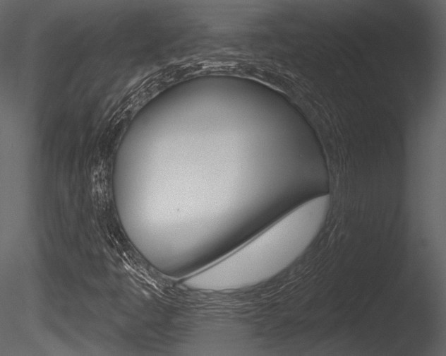 X0000085771445200703160920