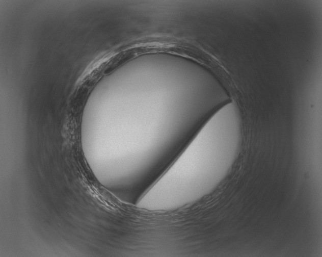 X0000085771448200703160920
