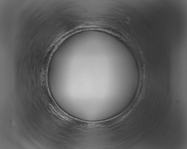 X0000085771449200703160920