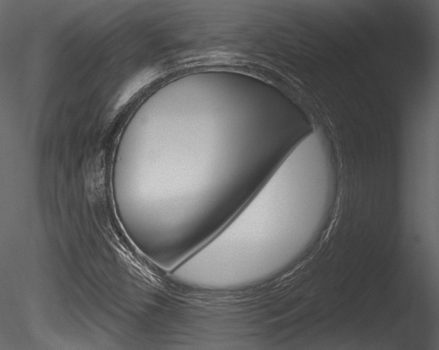 X0000085771450200703160920