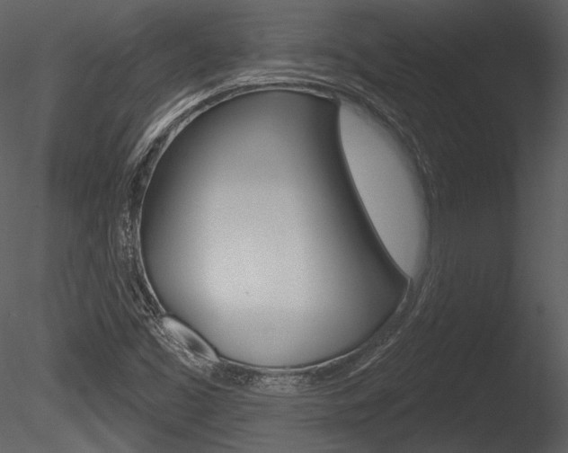 X0000085771453200703160920