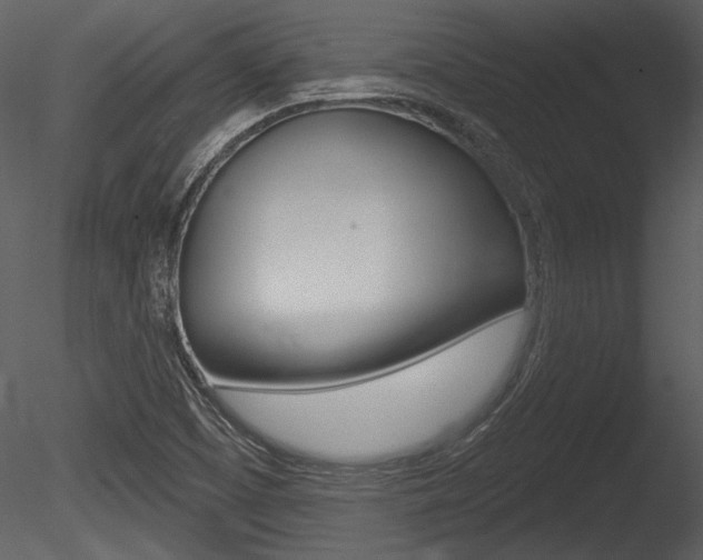 X0000085771457200703160920