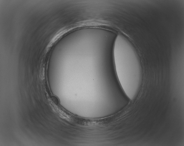 X0000085771459200703160920