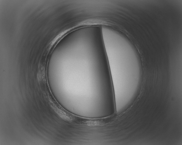 X0000085771465200703160920