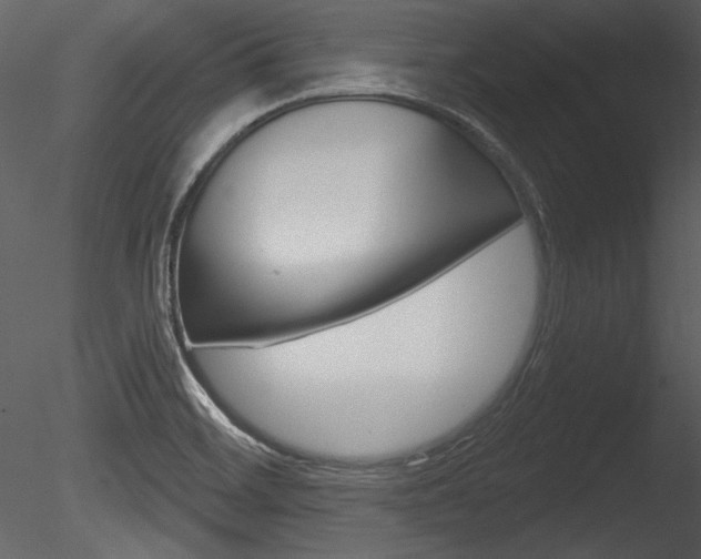 X0000085771468200703160919