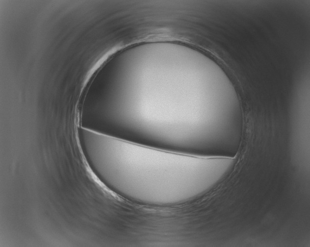 X0000085771476200703160919