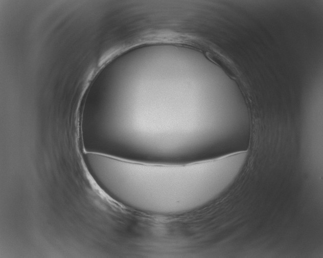 X0000085771479200703160919