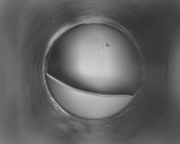 X0000085771480200703160919