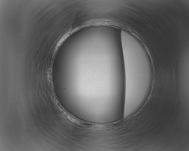 X0000085771481200703160919