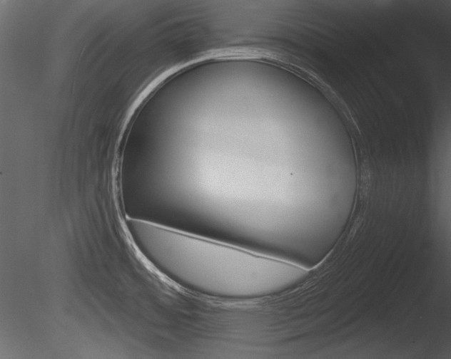 X0000085771484200703160919