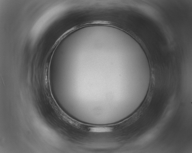 X0000085771487200703160919