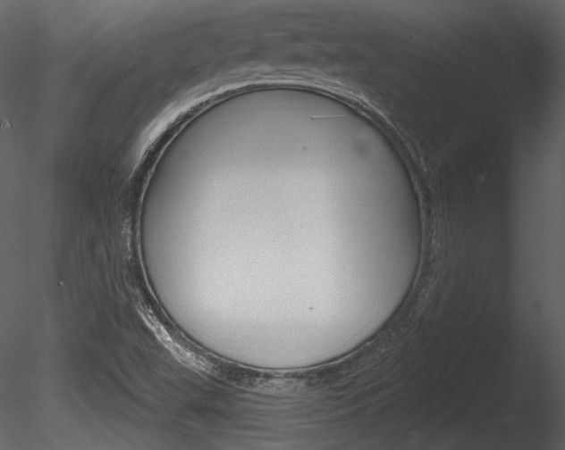 X0000085771503200703160919