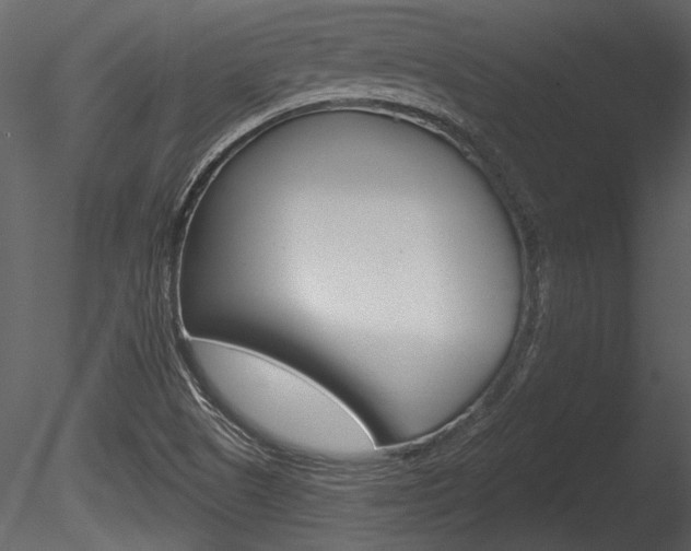 X0000085771505200703160919