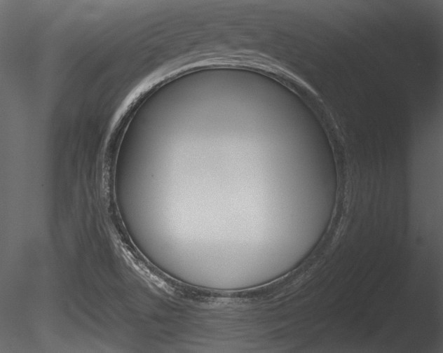 X0000085771506200703160919