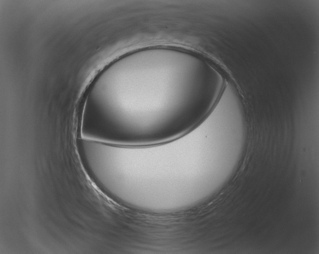 X0000085771508200703160919