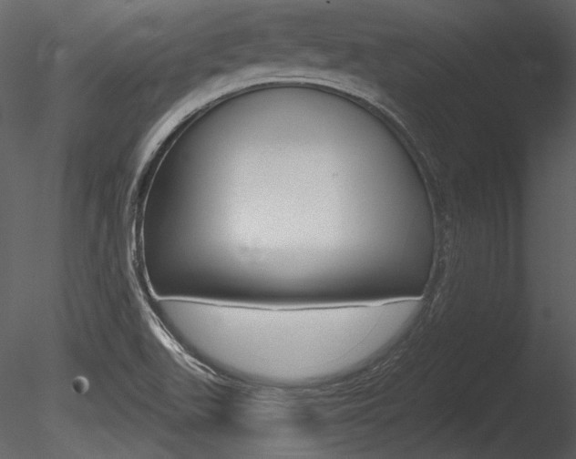 X0000085771511200703160919