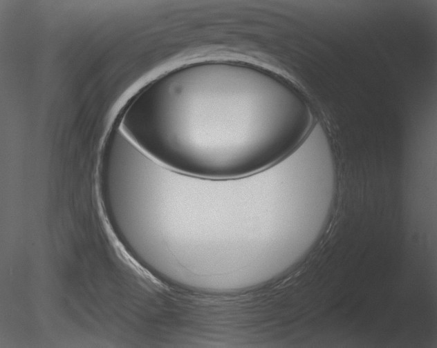 X0000085771518200703160919