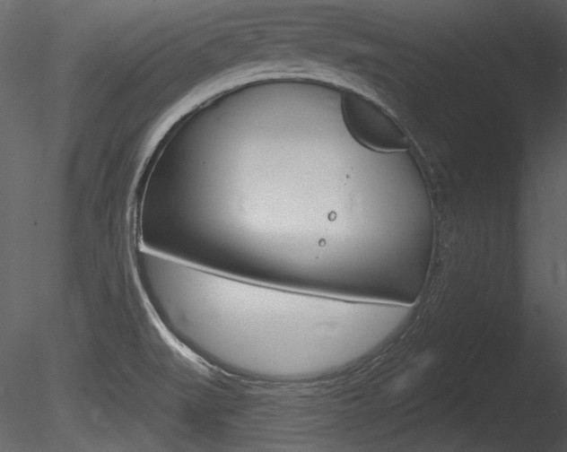 X0000085771519200703160919