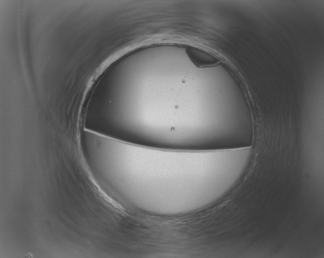 X0000085771525200703160919
