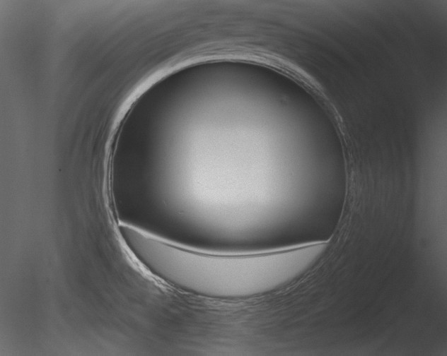 X0000085771528200703160919