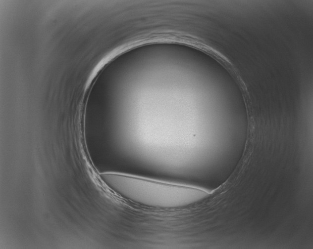 X0000085771530200703160919