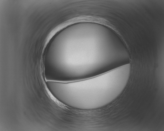 X0000085771531200703160919