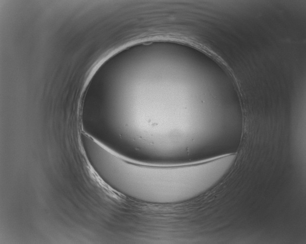 X0000085771532200703160919
