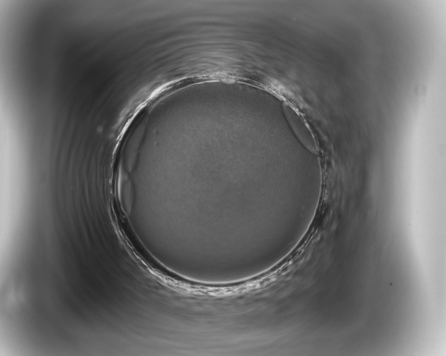 X0000085770002200703161153