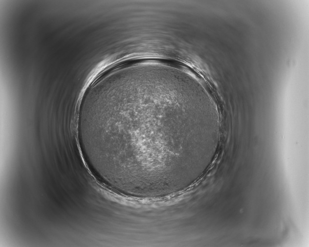 X0000085770003200703161153