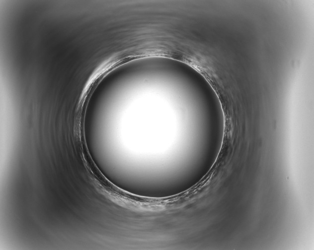 X0000085770004200703161153