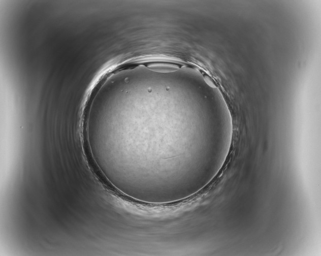 X0000085770006200703161153