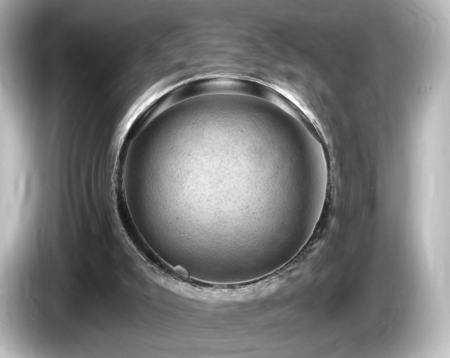 X0000085770007200703161153