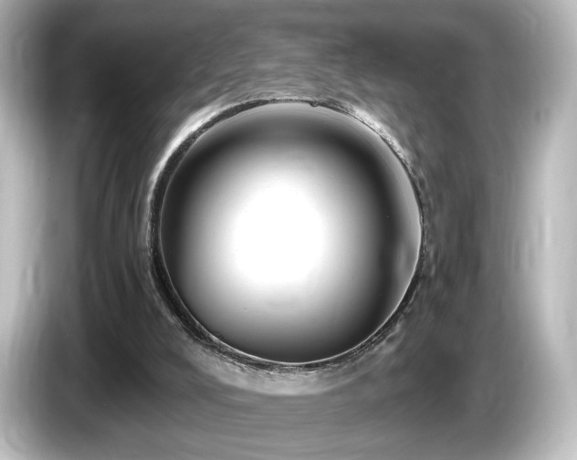 X0000085770008200703161153