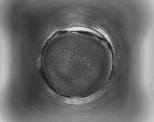 X0000085770009200703161153