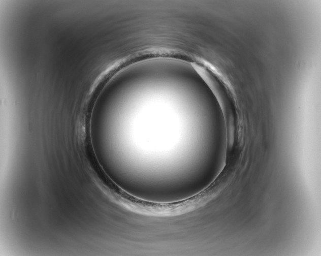 X0000085770015200703161153