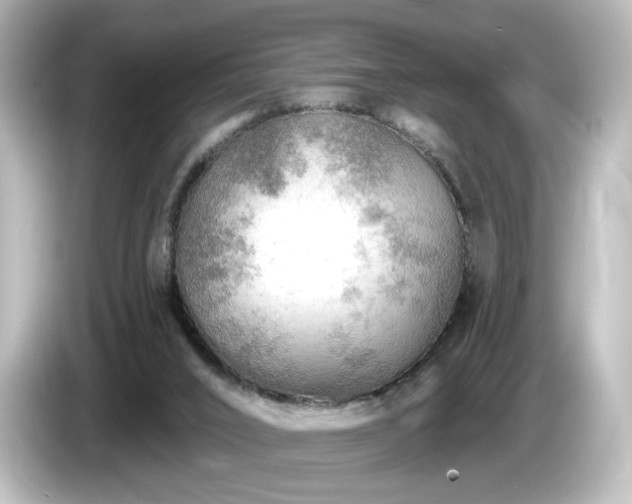 X0000085770016200703161153