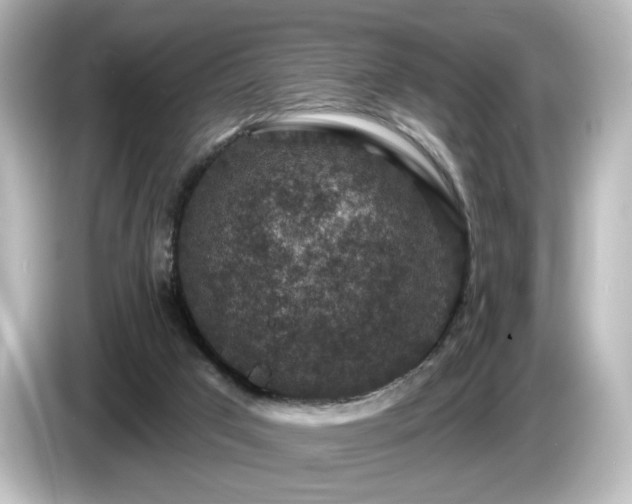 X0000085770017200703161153