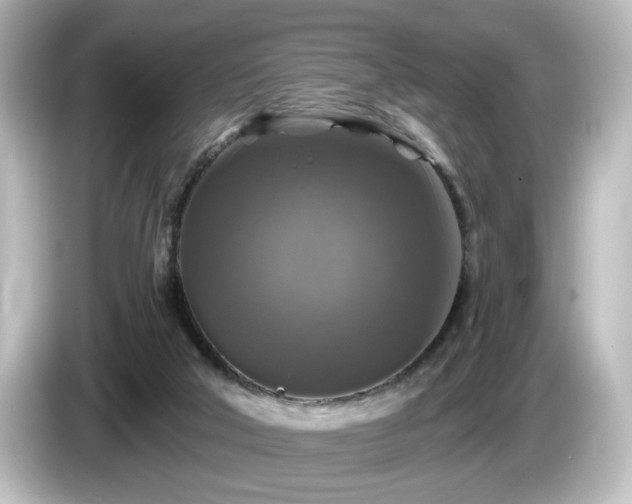 X0000085770018200703161153