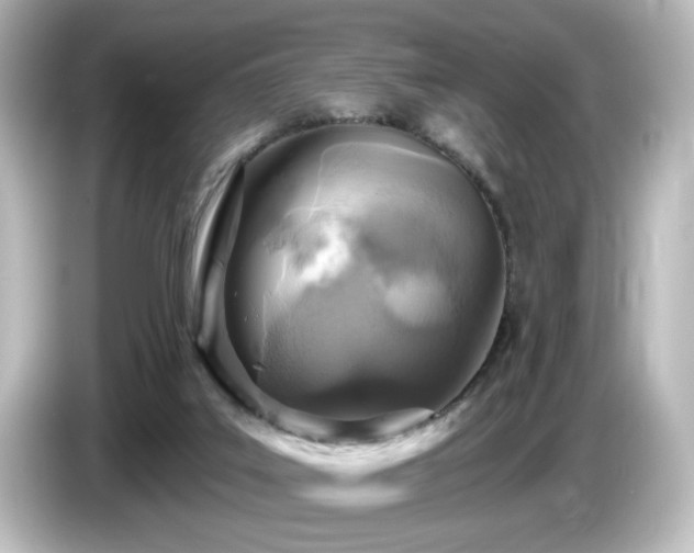 X0000085770019200703161153