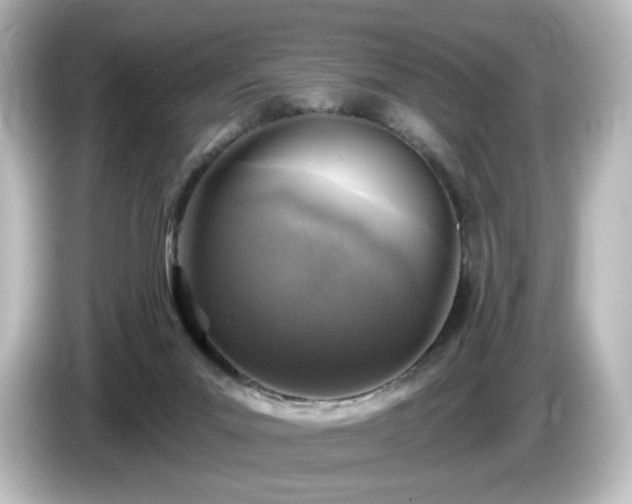 X0000085770023200703161153