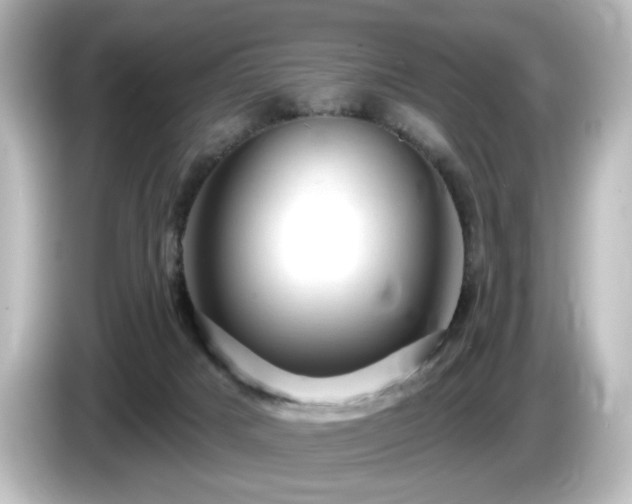 X0000085770025200703161153