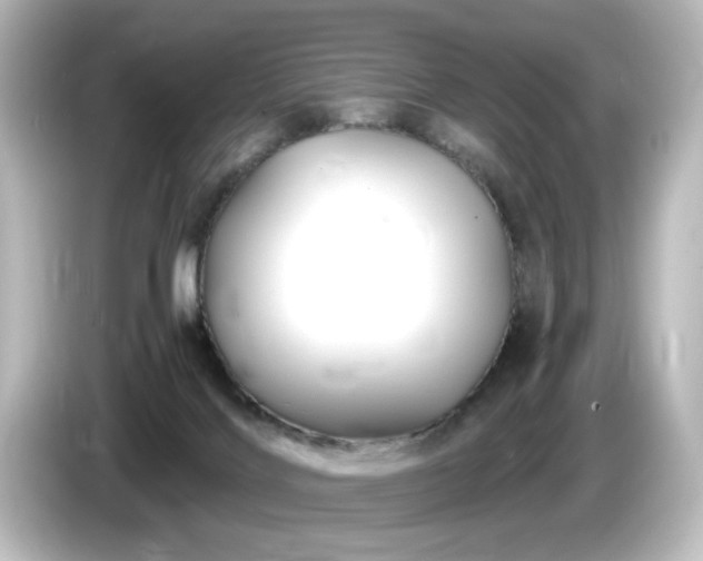 X0000085770028200703161153