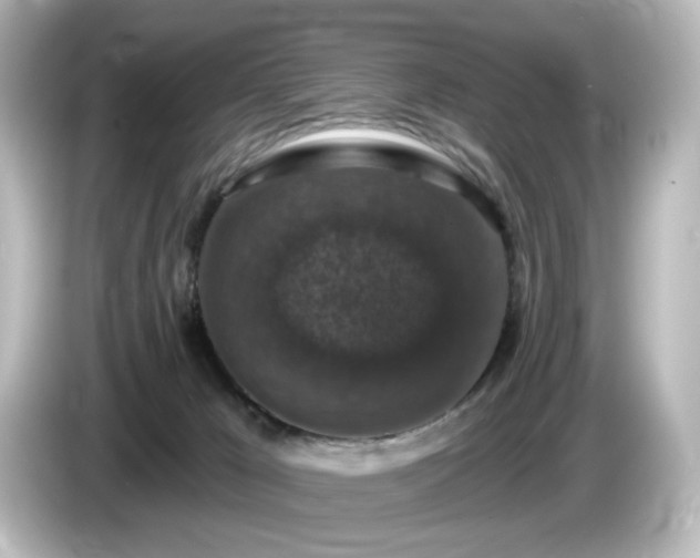 X0000085770029200703161153