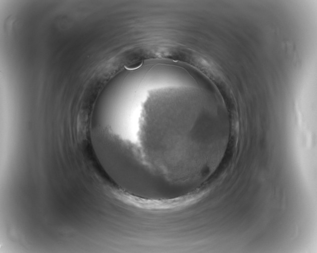 X0000085770030200703161153