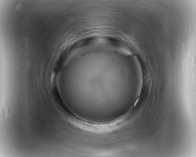 X0000085770031200703161153