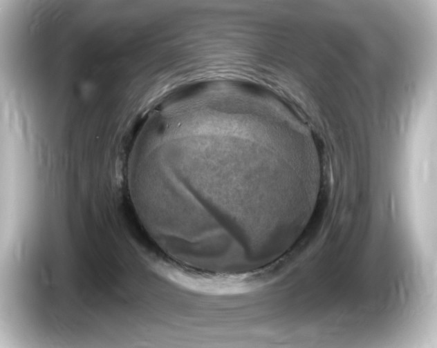 X0000085770032200703161153