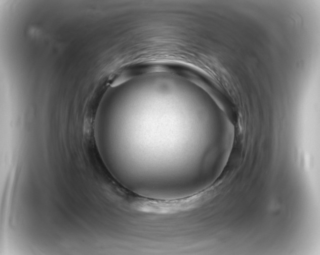 X0000085770033200703161153