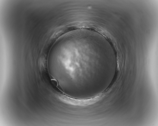 X0000085770035200703161153