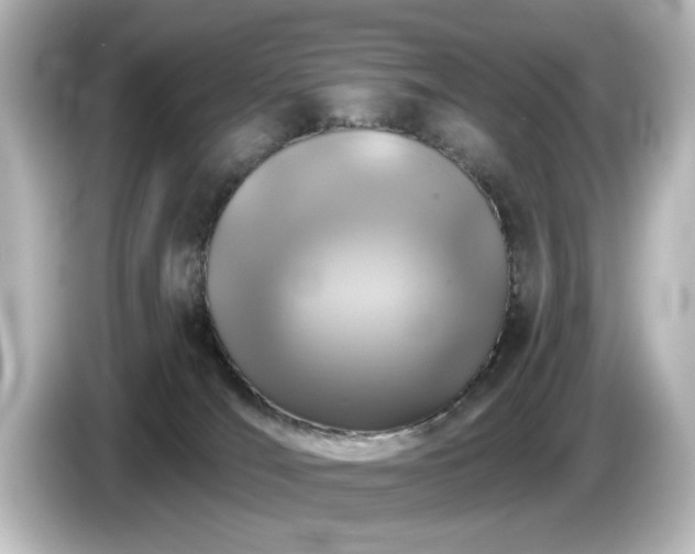 X0000085770036200703161153