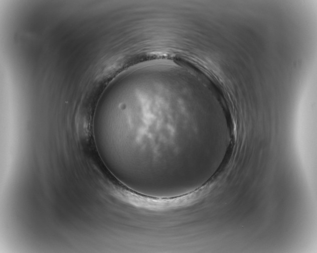 X0000085770039200703161153